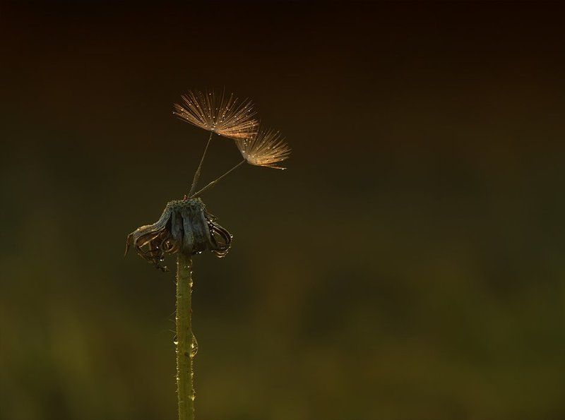 Когда мы вместе...photo preview