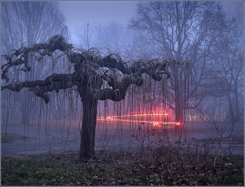 пейзаж, вечер, дерево, город, изгибы Вечерние изгибыphoto preview