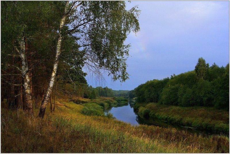 деревня, река, угра, береза, берег Уграphoto preview