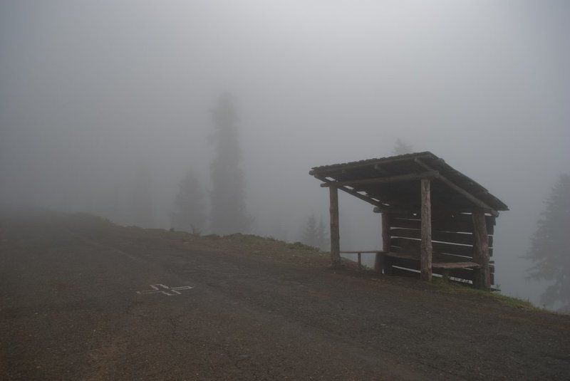 bakhmaro On the next, please.photo preview