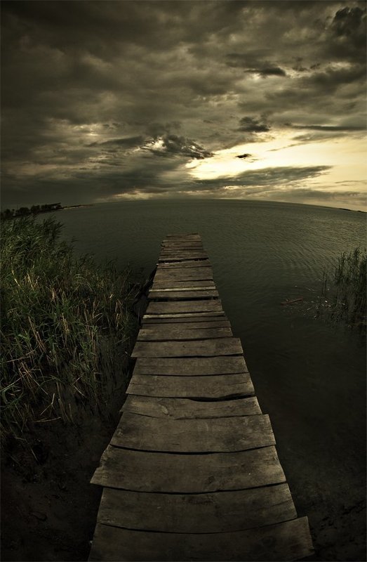 Лой Быканахphoto preview