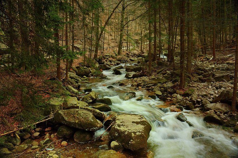 Горный ручей...photo preview