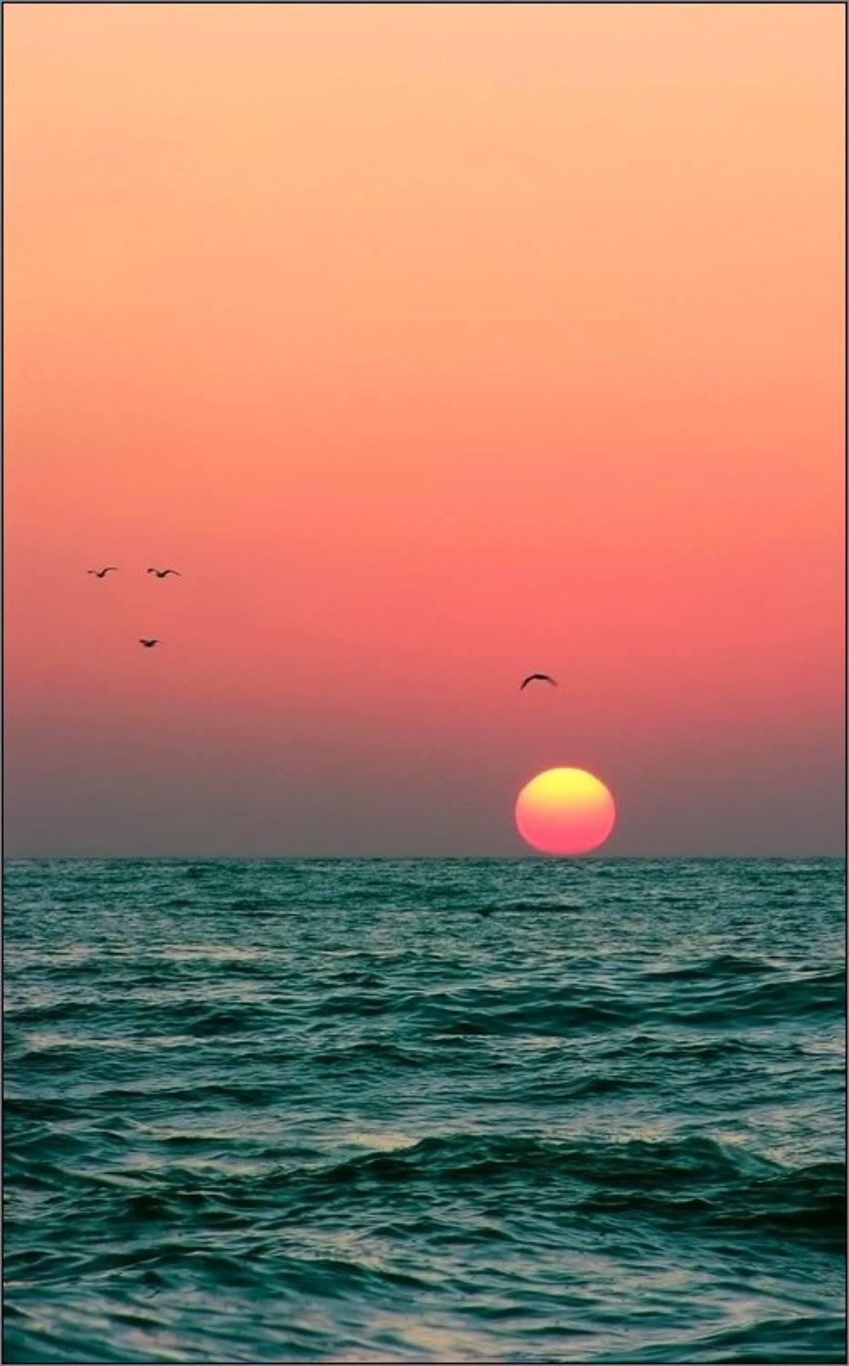 Знойное утро. Автор: Владимир Метцгер крым, восход,море, небо, Владимир Метцгер