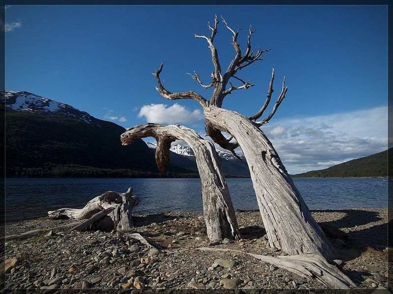 танец, танго Тангоphoto preview