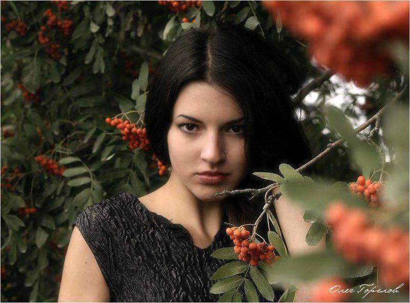 рябина Рябинаphoto preview