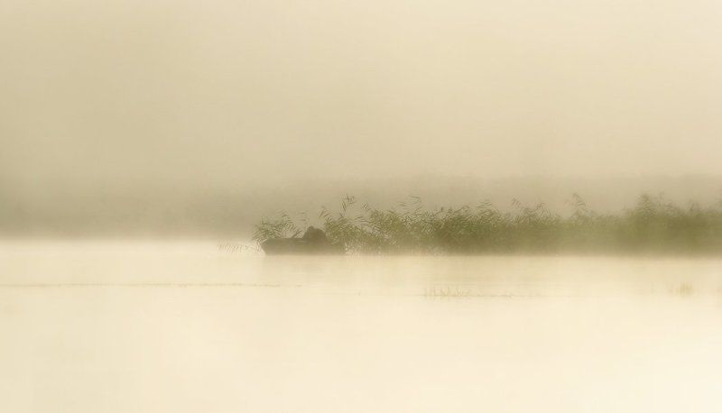 Очень раннее утроphoto preview