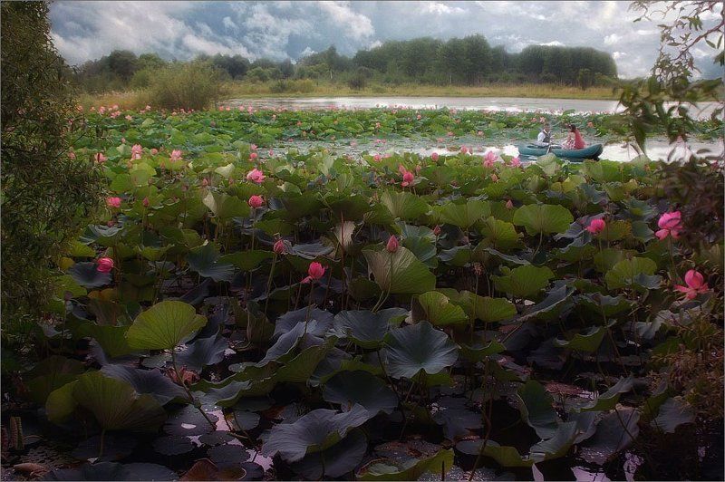 в стихах все быть должно некстати...(с)photo preview