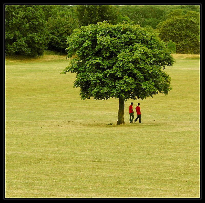 surrey,england прогулкаphoto preview