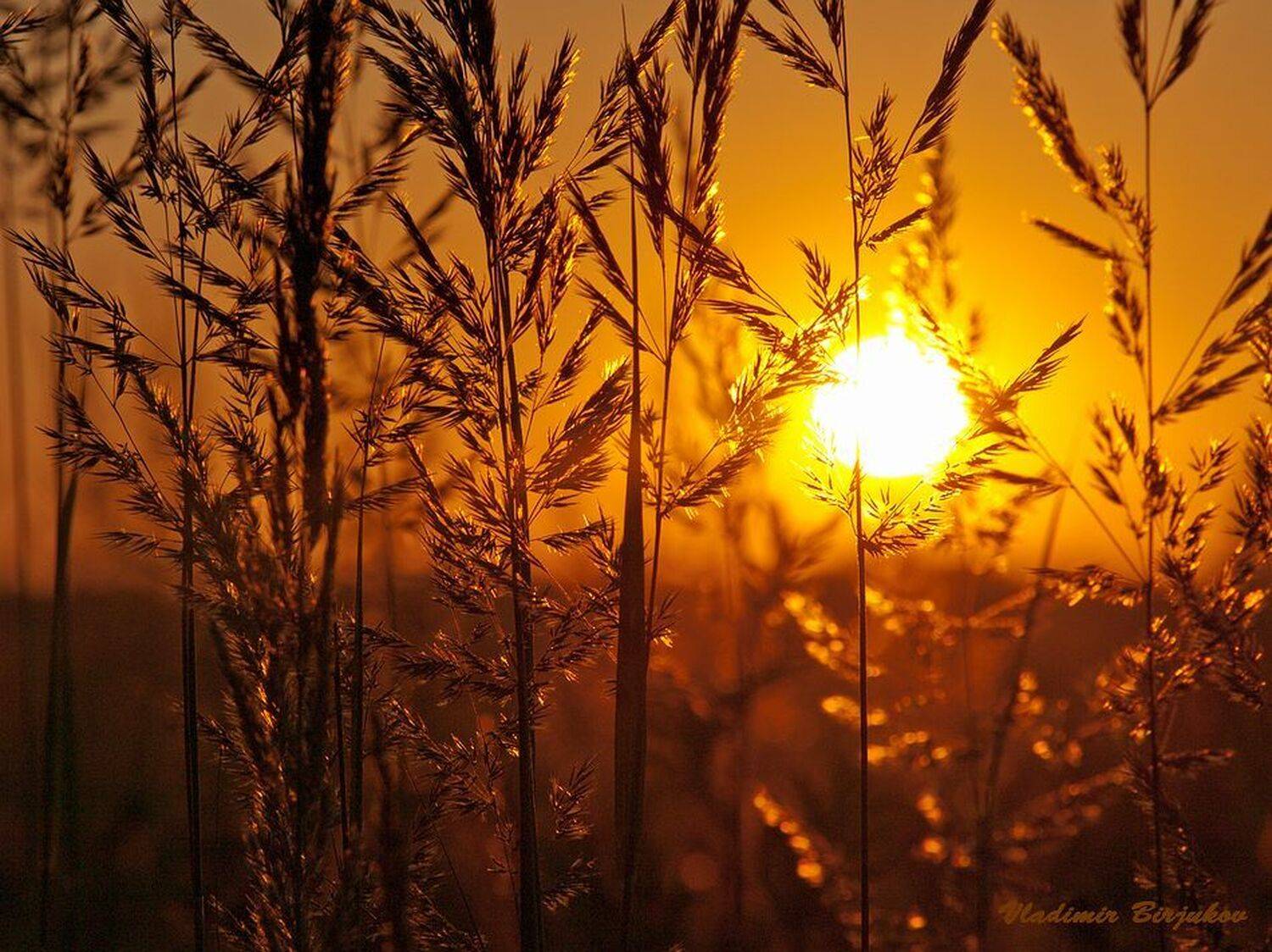 Была Жара..... Автор: Vladimir B , Vladimir B