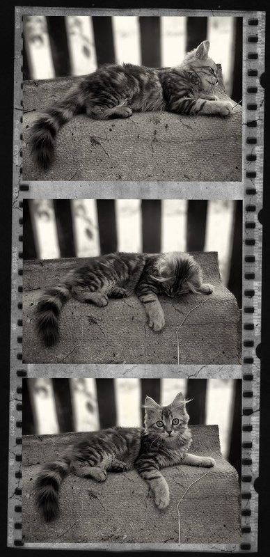 Играphoto preview