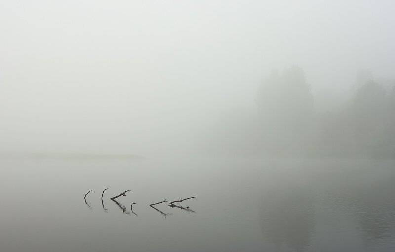 река,  молога,  утро,  туман,  ветки,  коряга,  лето, Gorshkov Igor_Feanorus