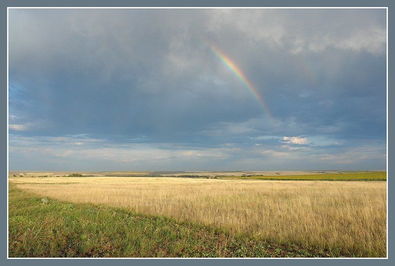 волгоградская  область, утро. Степь. Когда вокруг горит.photo preview
