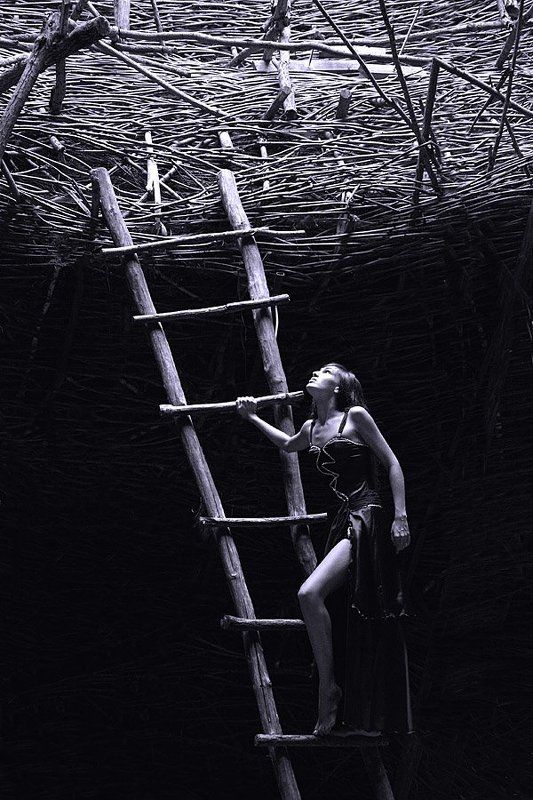 Из темноты...photo preview