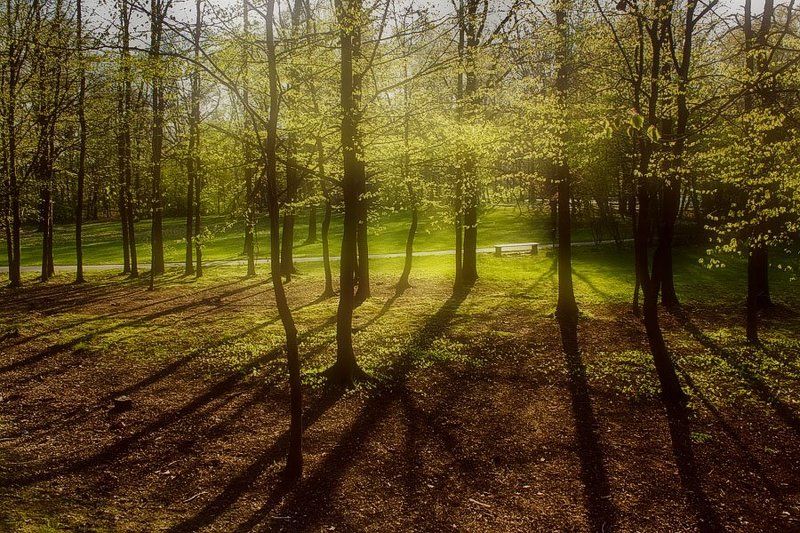 ********photo preview