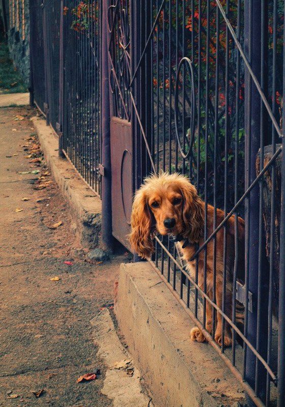 ну где же ты?..photo preview