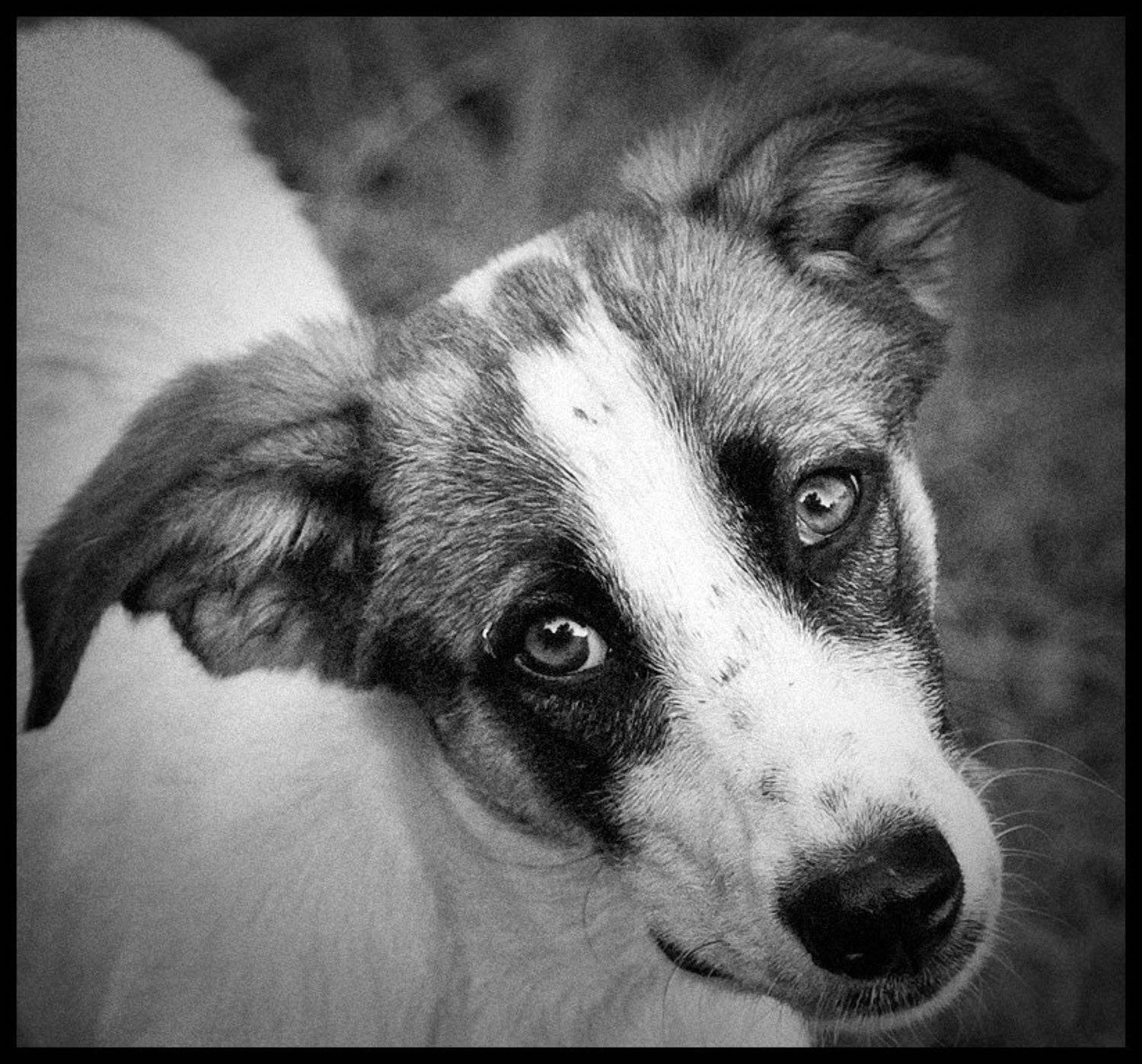 Взгляд. Автор: Дмитрий Краснов , Дмитрий Краснов