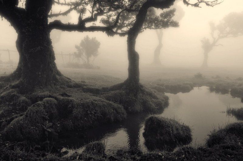 Запредельеphoto preview