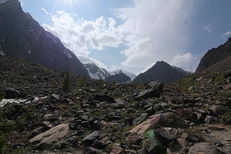 алтай, горный алтай,лето,ущелье ,актру,горы В ущелье Актру...photo preview