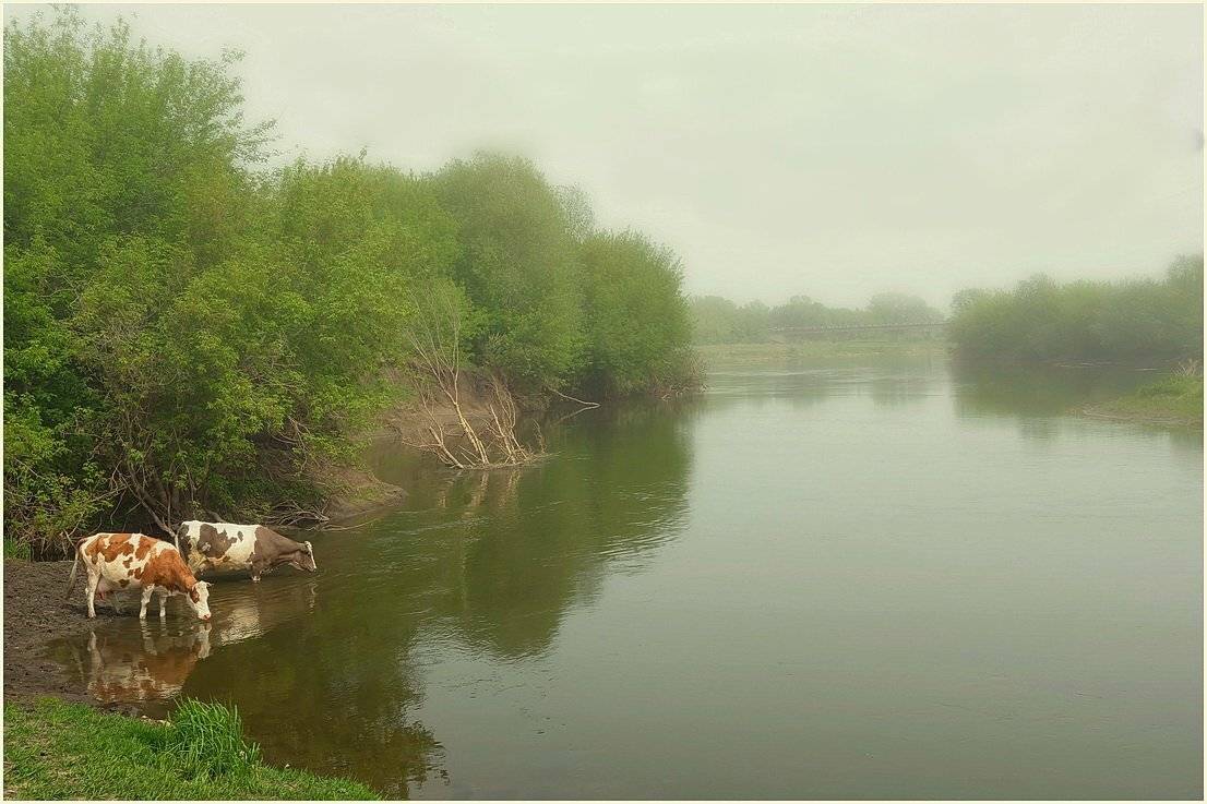 Жажда.. Автор: Евгений strannik521 , Евгений strannik521