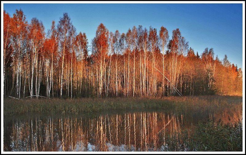 utro...photo preview