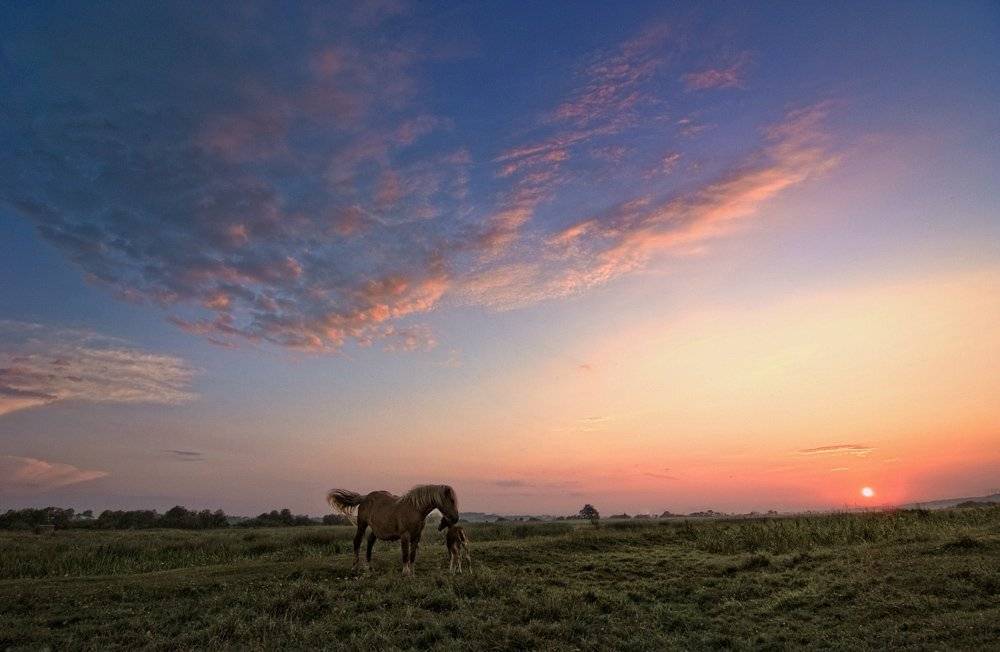 рассвет,река, Александр Титаренко