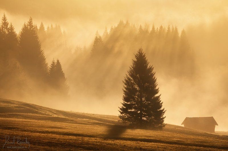 Germany, Deutschland, Bavaria, Bayern, Werdenfelser Land, Bayerisches Oberland, Garmisch-Partenkirchen, Alpen, Alps, Gerold, Geroldsee, Wagenbrüchsee, Karwendel, Krün, Mittenwald, Garmisch, Werdenfels, Europe, travel, lake, see, autumn,  rays, autumn land Bavaria...photo preview