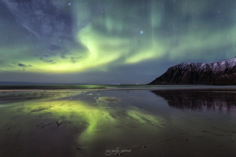 aurora borealis, aurora, night, sea, seascape, landscape, landscapes, northern lights, norway, reflection, light magical lightsphoto preview