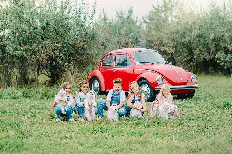 дети, ребенок, животное, зверь, семья, болонка, машина, улица, лето, каникулы, природа ***photo preview