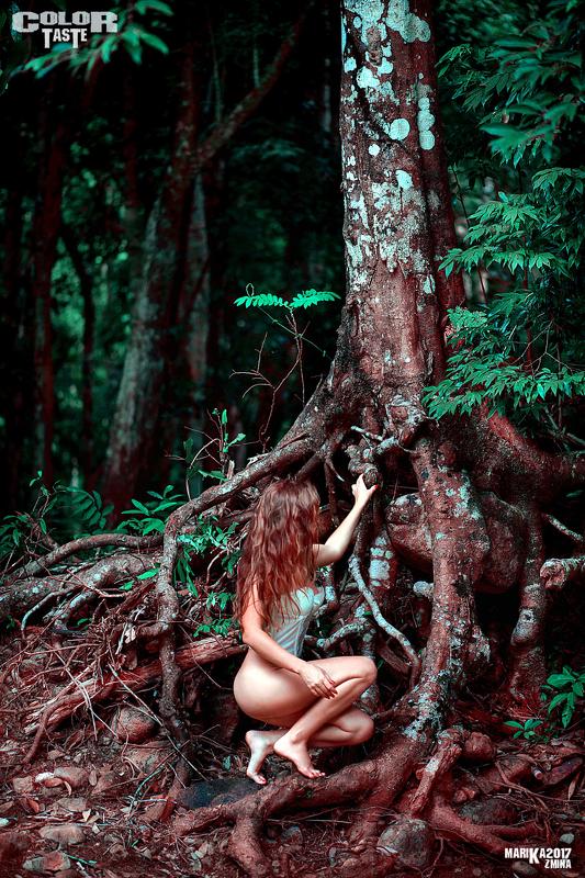 COLOR TASTEphoto preview