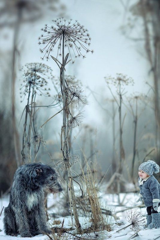 встречаphoto preview