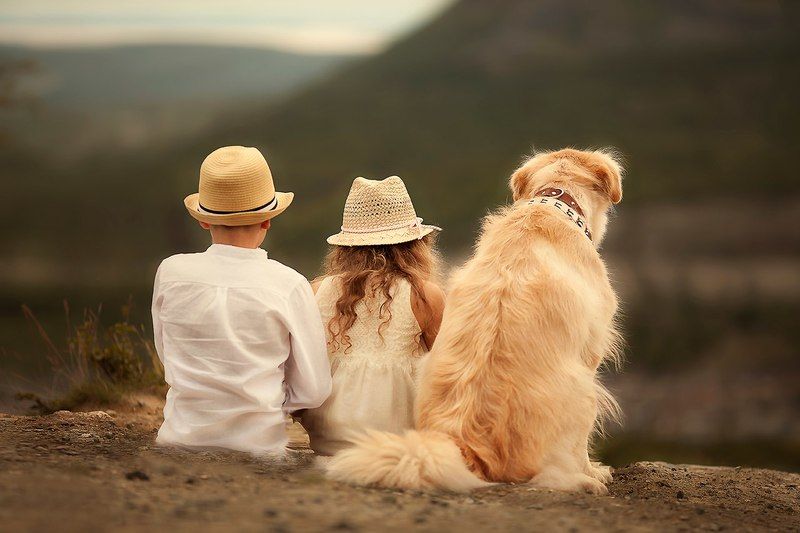 Друзья -мечтателиphoto preview