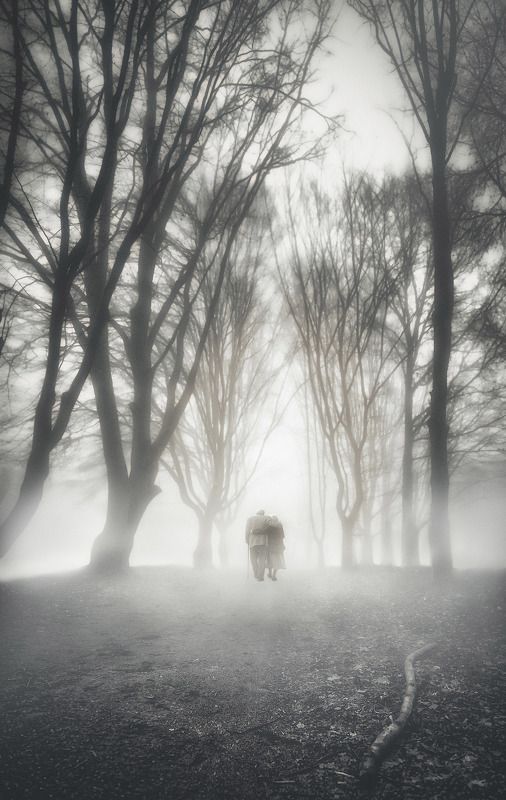trees, fog, people, old, road, way ,life, love, relationships, hand, in, hand, support, bw The long road of life..photo preview