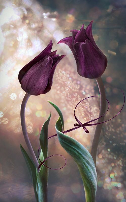 Праздник для двоихphoto preview