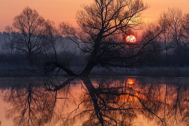 Тихое утро.photo preview