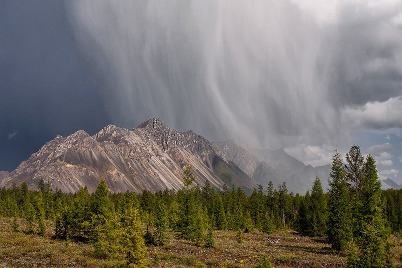 якутия, омулёвское среднегорье, берег озера дарпир Сразу после грозы.photo preview