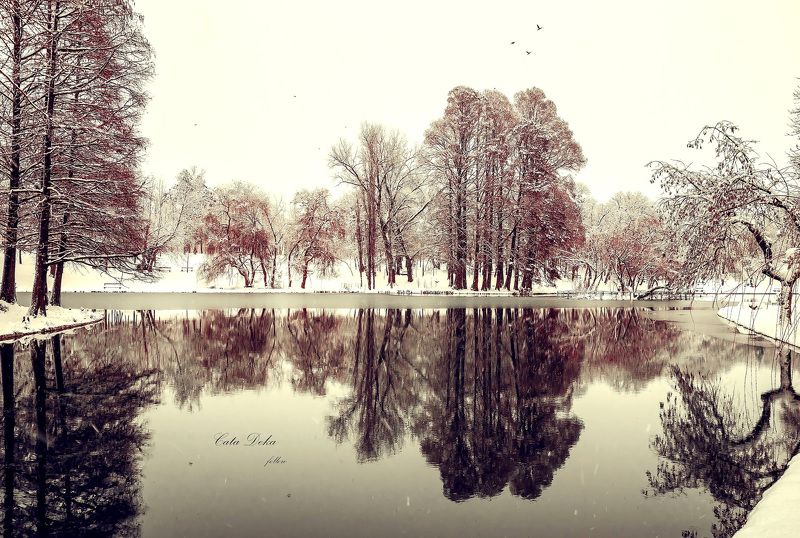 Frozen Lakephoto preview