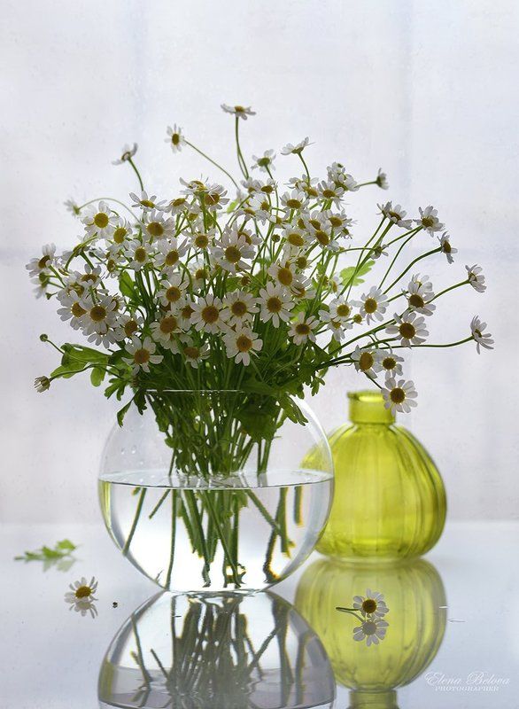 натюрморт, цветы Утро...photo preview