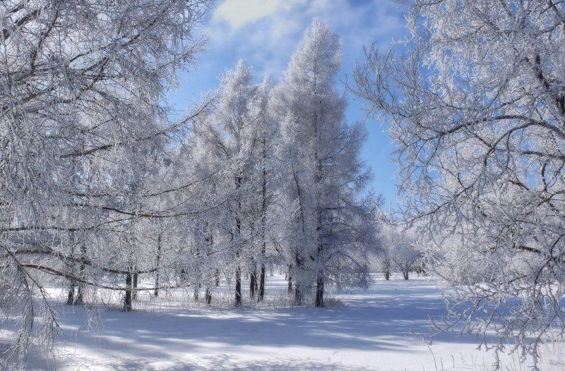 Прогулка в рабочий день-2 фото превью