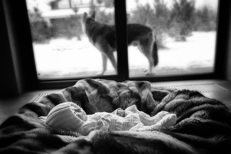 домашняя съемка,семейная фотосъемка на стражеphoto preview