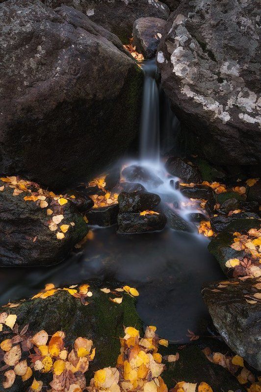 вода, осень, ручей, листья, желтые, камни, урал, горы, башкирия photo preview