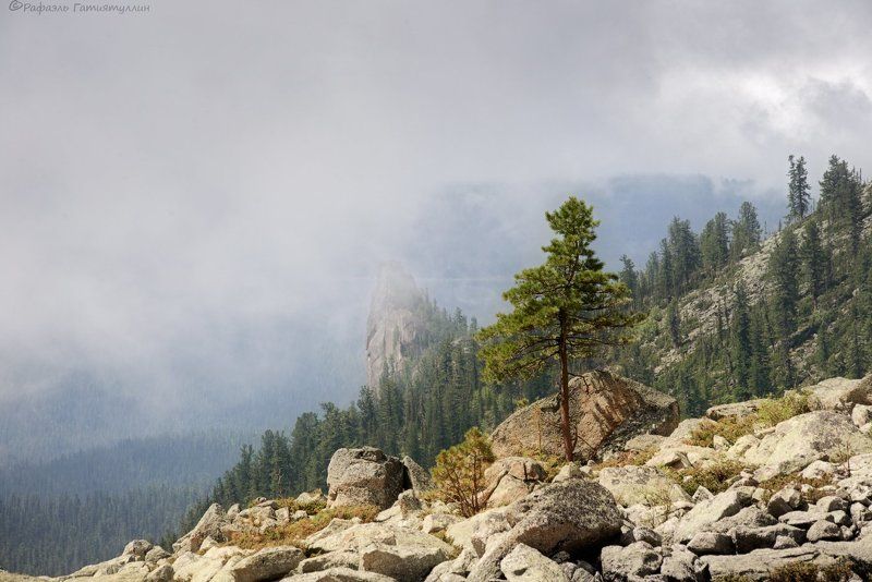 Горы, ГорыЗападные СаяныКрасноярский к, Западные Саяны, Красноярский край, Лето, Национальный парк Ергаки, Скала, Туман Одинокая скалаphoto preview