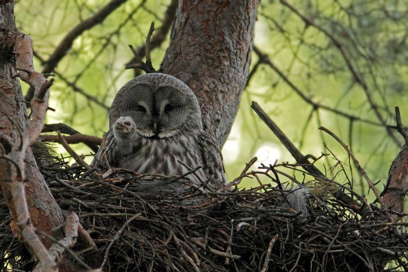 рука photo preview