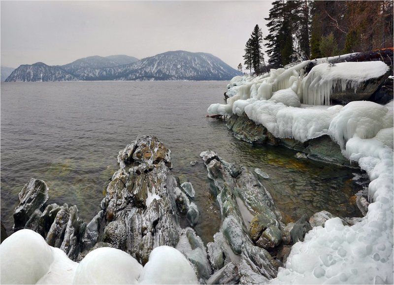 телецкое озеро, яйлю, лёд, зима Ледяные берегаphoto preview