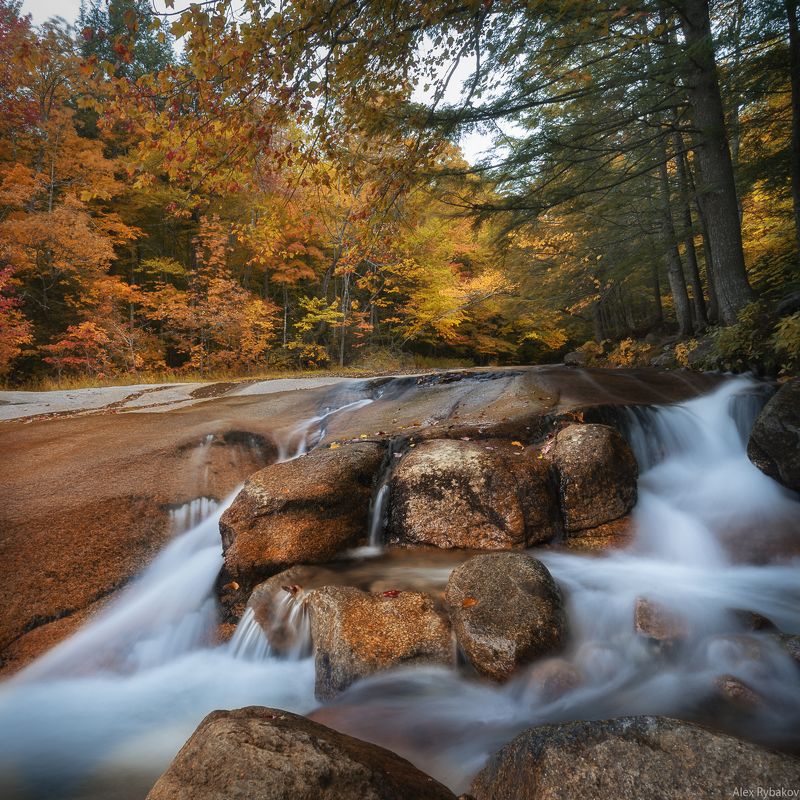 USA, travel,  Золотая осеньphoto preview