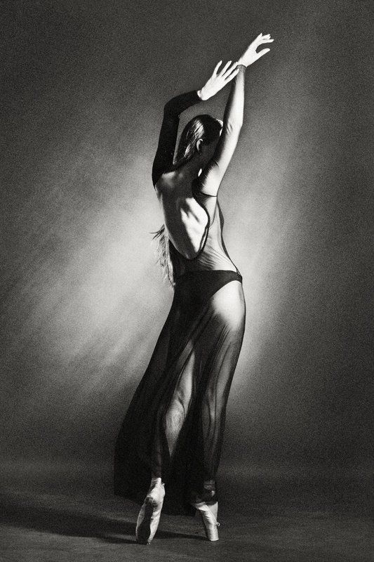 танец, пластика, тело, выразительность, изящество, лиричное, романтичное, монохромное, art, студийное, концептуальное, философское, созерцание, графическое, beauty, рассказ, повесть, поэзия, волосы, ветер, движение, davydov, art foto, fine art Триптихphoto preview