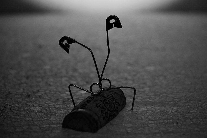 Провинился.photo preview