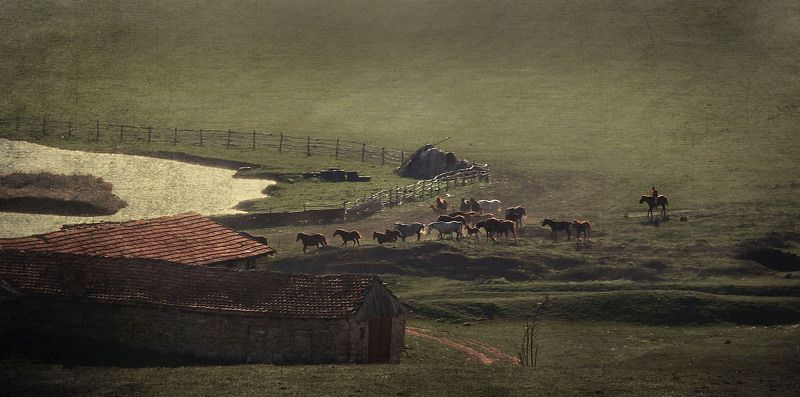 Ходят кони над рекоюphoto preview