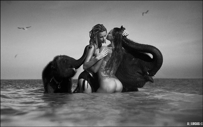 lucas, lucastudio, nude BONE ELEPHANT ©photo preview