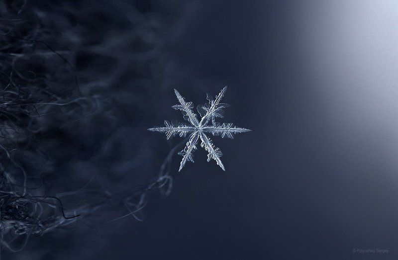 Зима, Макро, Снежинка ***photo preview