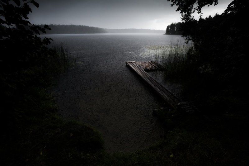 обновление, ливень, лето, озеро, лес, волобо, беларусь, россия Обновлениеphoto preview